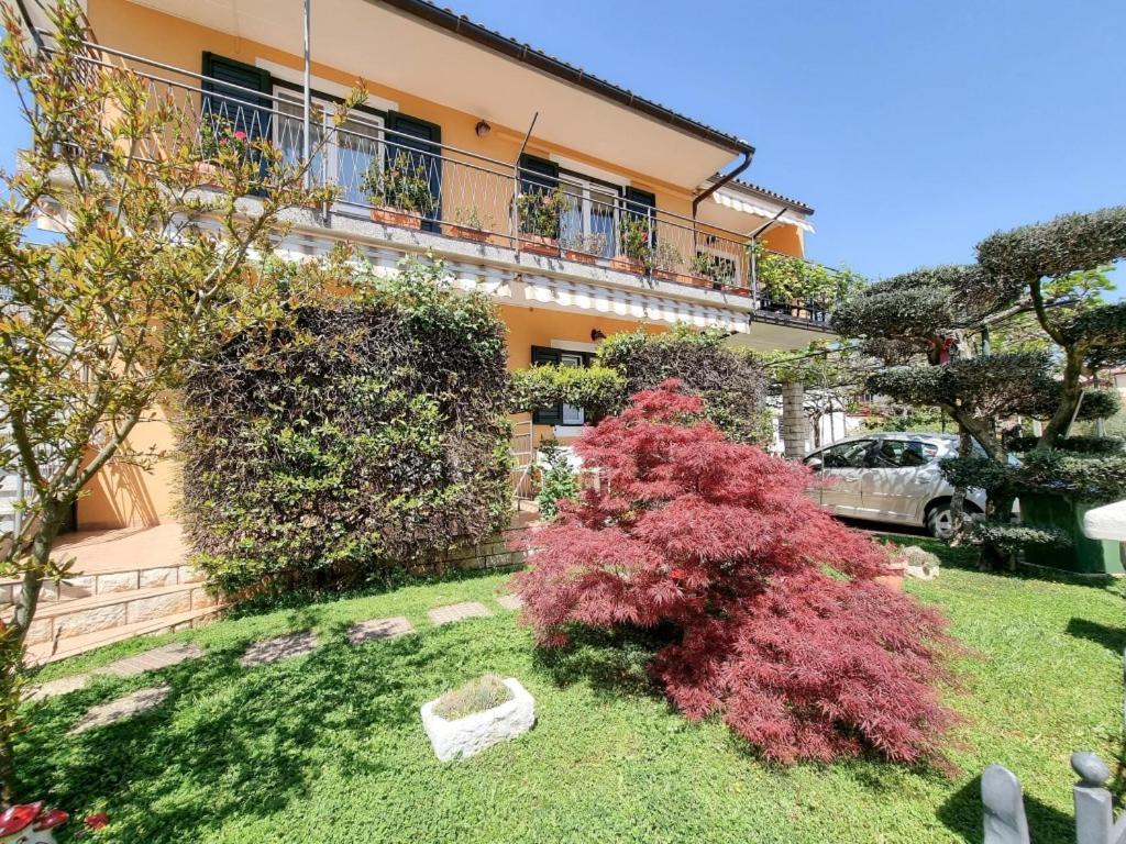 Alma One Apartment Novigrad  Exterior photo